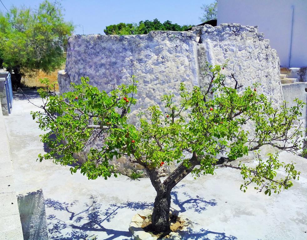 Trullo Don Gabriel Villa Alliste Rum bild